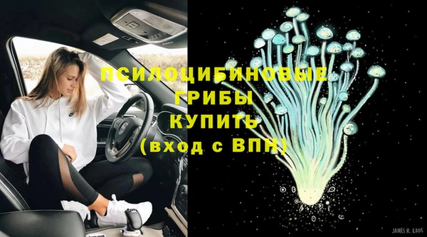 apvp Зеленокумск