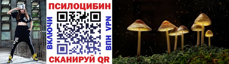 Псилоцибиновые грибы Psilocybine cubensis Обоянь