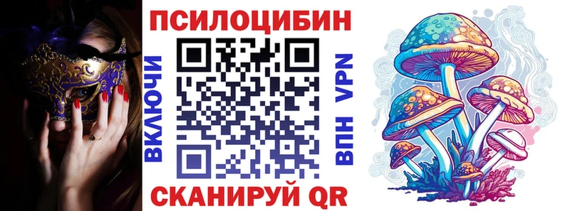 Купить закладки  Обоянь  Псилоцибиновые грибы Cubensis 